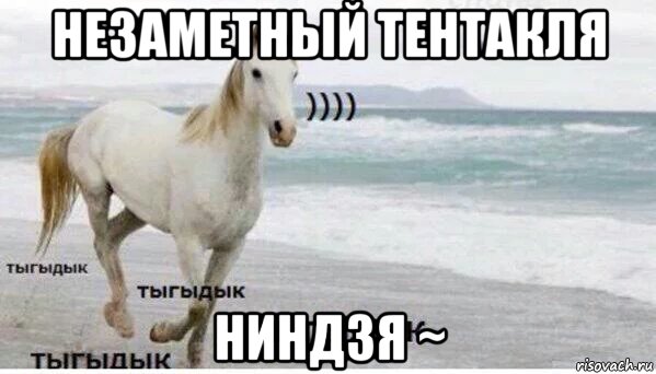 незаметный тентакля ниндзя ~, Мем   Тыгыдык