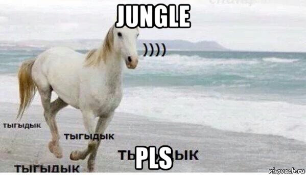 jungle pls, Мем   Тыгыдык