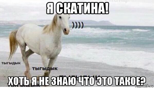 я скатина! хоть я не знаю что это такое?, Мем   Тыгыдык