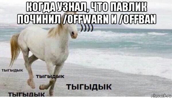 когда узнал, что павлик починил /offwarn и /offban , Мем   Тыгыдык