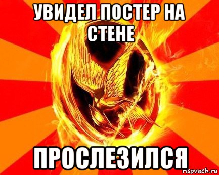 увидел постер на стене прослезился, Мем Типичный Фанат Голодных Игр