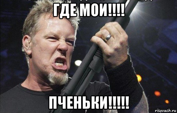 где мои!!!! пченьки!!!!!, Мем То чувство когда