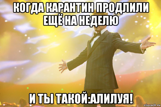 когда карантин продлили ещё на неделю и ты такой:алилуя!, Мем Тони Старк (Роберт Дауни младший)