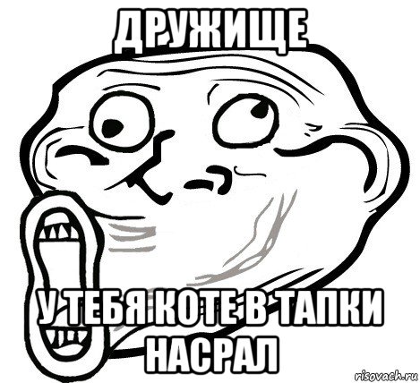 дружище у тебя коте в тапки насрал, Мем  Trollface LOL