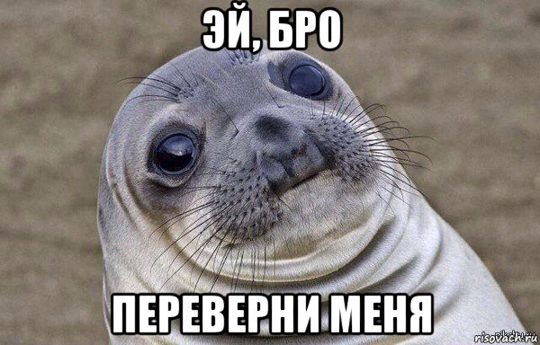 эй, бро переверни меня