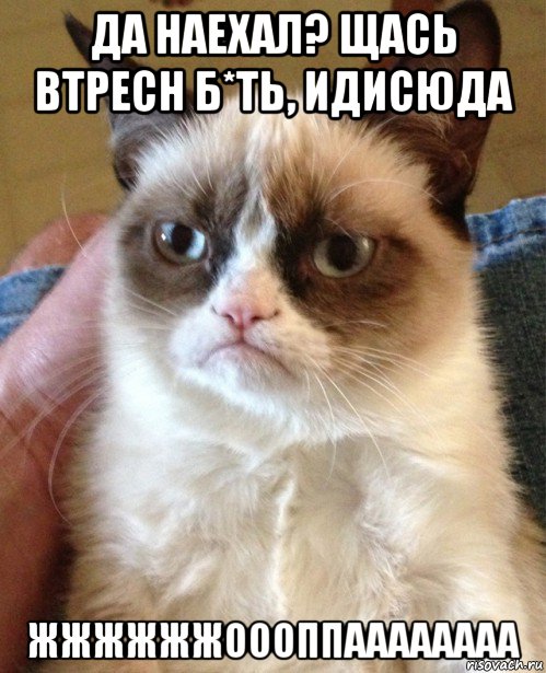 да наехал? щась втресн б*ть, идисюда жжжжжжоооппаааааааа, Мем Угрюмый кот