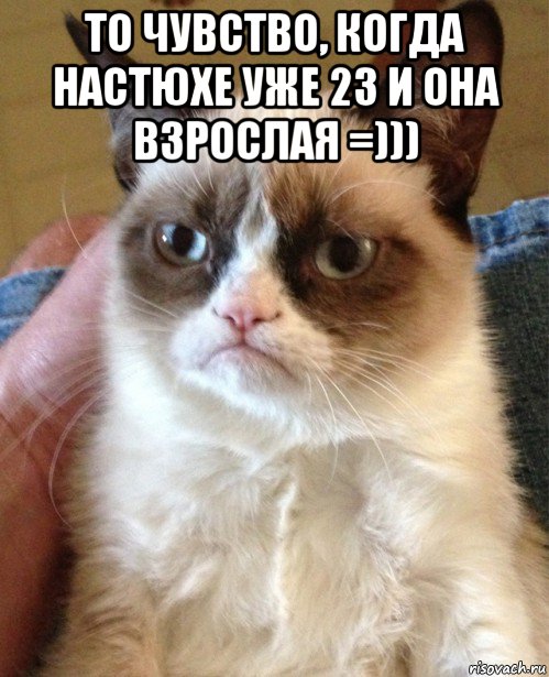 то чувство, когда настюхе уже 23 и она взрослая =))) , Мем Угрюмый кот