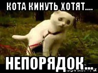 кота кинуть хотят.... непорядок..., Мем Упоротый кот