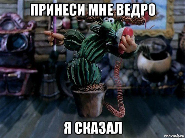 принеси мне ведро я сказал