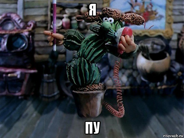 я пу