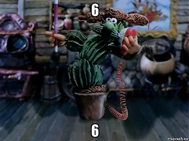6 6