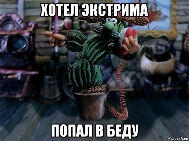 хотел экстрима попал в беду