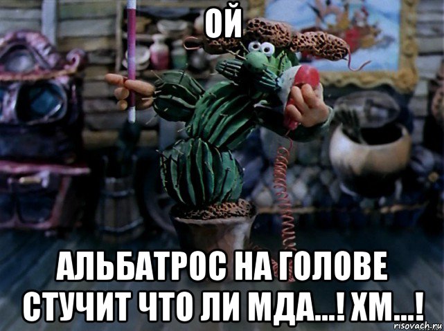 ой альбатрос на голове стучит что ли мда...! хм...!, Мем В кактус превратился