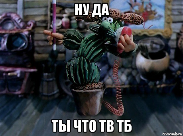 ну да ты что тв тб