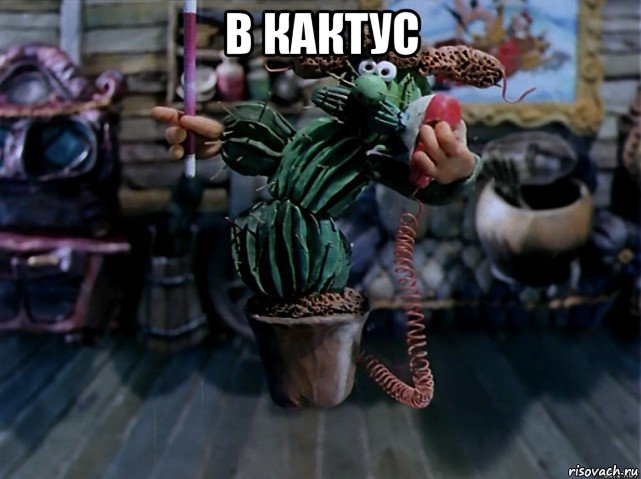 в кактус , Мем В кактус превратился
