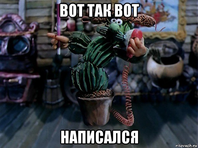 вот так вот написался, Мем В кактус превратился