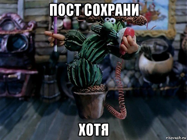 пост сохрани хотя, Мем В кактус превратился