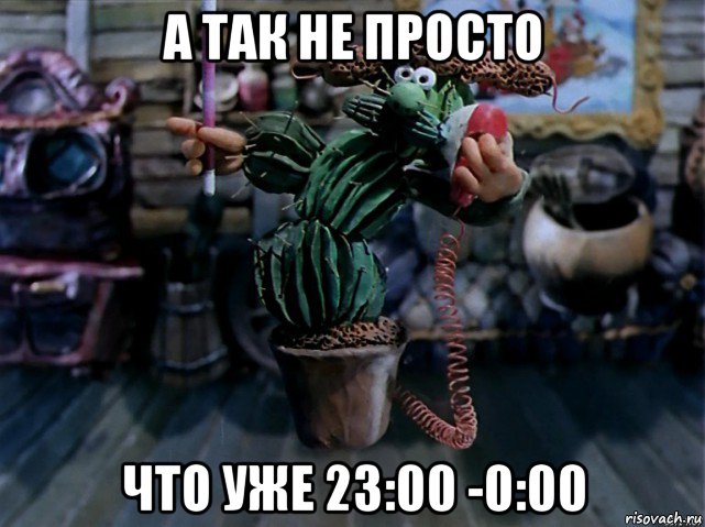 а так не просто что уже 23:00 -0:00, Мем В кактус превратился