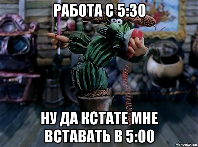 работа с 5:30 ну да кстате мне вставать в 5:00, Мем В кактус превратился