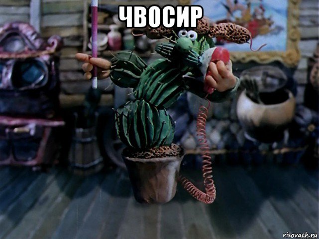 чвосир , Мем В кактус превратился