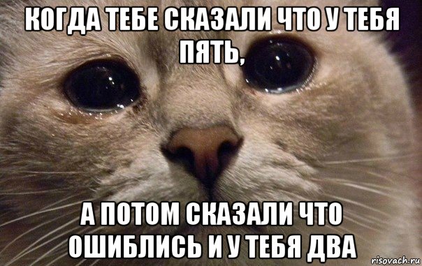 когда тебе сказали что у тебя пять, а потом сказали что ошиблись и у тебя два, Мем   В мире грустит один котик