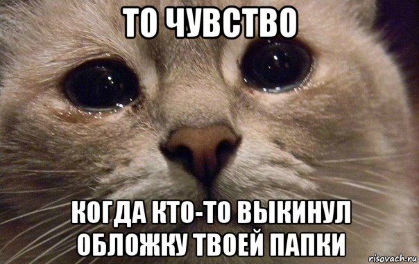 то чувство когда кто-то выкинул обложку твоей папки, Мем   В мире грустит один котик