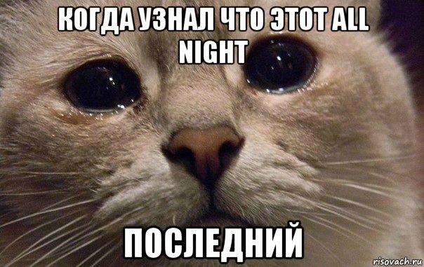 когда узнал что этот all night последний, Мем   В мире грустит один котик