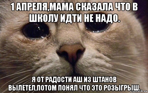 1 апреля,мама сказала что в школу идти не надо. я от радости аш из штанов вылетел,потом понял что это розыгрыш., Мем   В мире грустит один котик