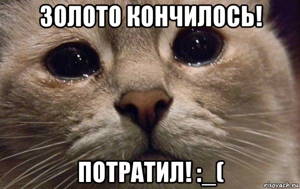 золото кончилось! потратил! :_(, Мем   В мире грустит один котик