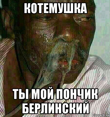 котемушка ты мой пончик берлинский