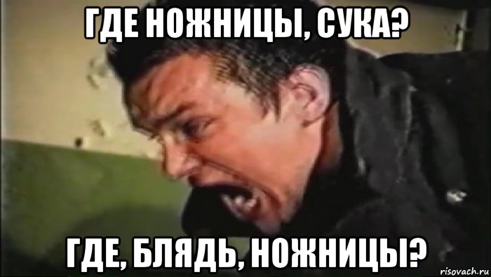 где ножницы, сука? где, блядь, ножницы?, Мем Владимир Епифанцев орёт
