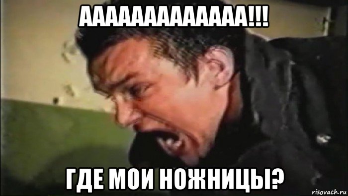 ааааааааааааа!!! где мои ножницы?, Мем Владимир Епифанцев орёт
