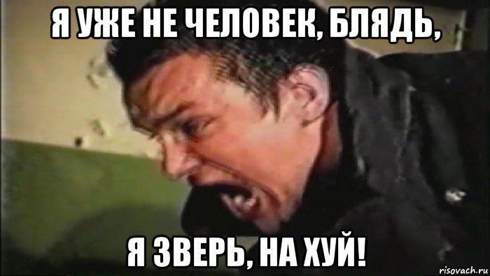 я уже не человек, блядь, я зверь, на хуй!, Мем Владимир Епифанцев орёт