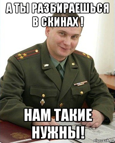 а ты разбираешься в скинах ! нам такие нужны!, Мем Военком (полковник)