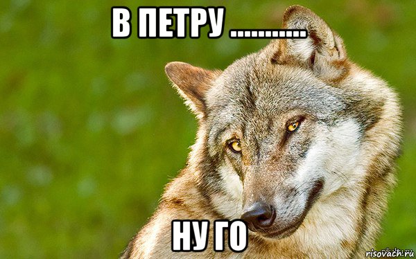 в петру ........... ну го, Мем   Volf