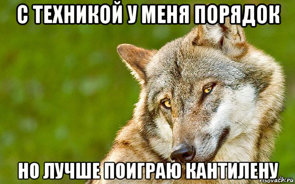 с техникой у меня порядок но лучше поиграю кантилену, Мем   Volf