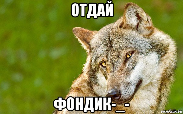 отдай фондик-_-, Мем   Volf