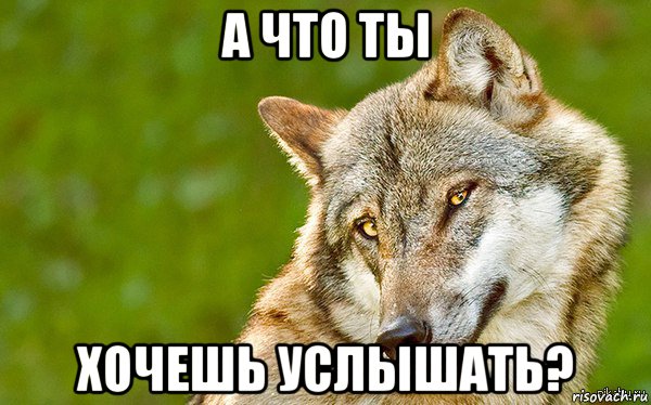 а что ты хочешь услышать?, Мем   Volf