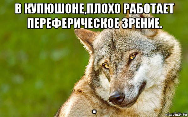 в купюшоне,плохо работает переферическое зрение. ., Мем   Volf