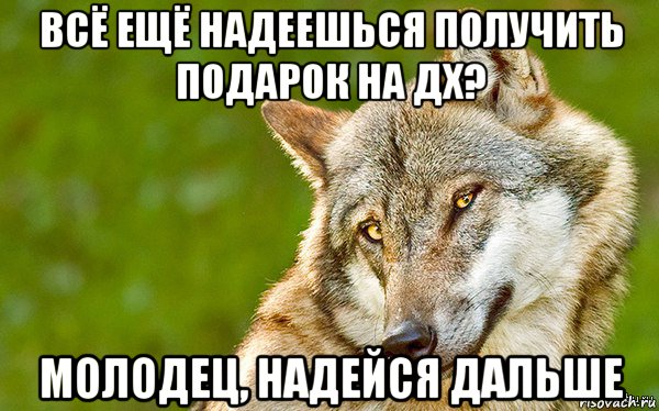 всё ещё надеешься получить подарок на дх? молодец, надейся дальше, Мем   Volf