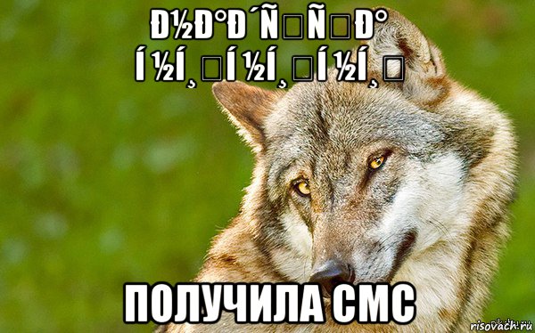 ð½ð°ð´ññð° í ½í¸í ½í¸í ½í¸ получила смс, Мем   Volf