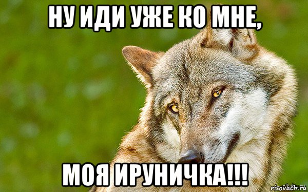 ну иди уже ко мне, моя ируничка!!!, Мем   Volf