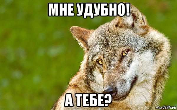 мне удубно! а тебе?, Мем   Volf