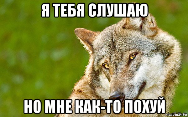 я тебя слушаю но мне как-то похуй, Мем   Volf