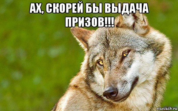 ах, скорей бы выдача призов!!! , Мем   Volf