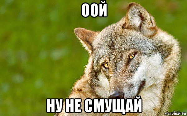 оой ну не смущай, Мем   Volf