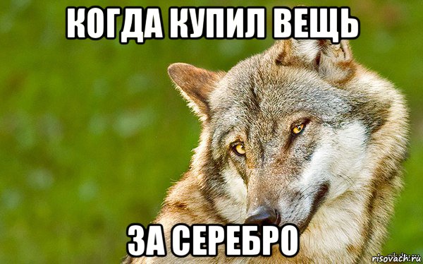 когда купил вещь за серебро, Мем   Volf