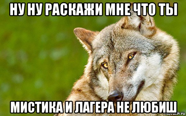 ну ну раскажи мне что ты мистика и лагера не любиш, Мем   Volf