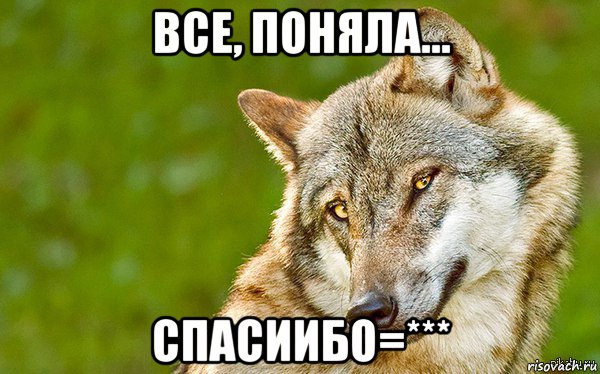 все, поняла... спасиибо=***, Мем   Volf