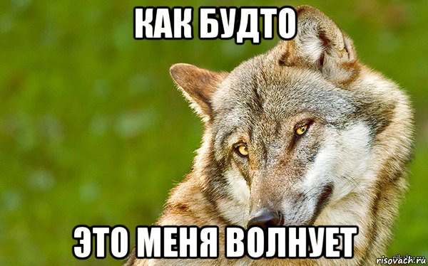 как будто это меня волнует, Мем   Volf